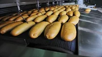 食品机械设备鉴定