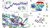 分子动力学模拟