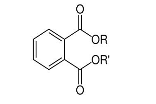 邻苯二甲酸酯测试