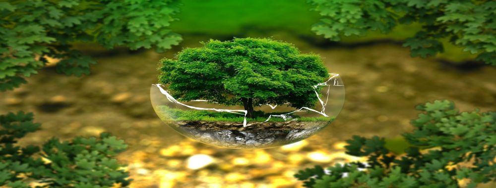 生物降解测试