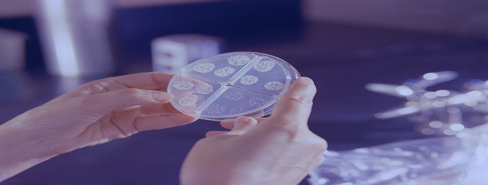 化妆品微生物测试