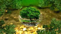 生物降解测试